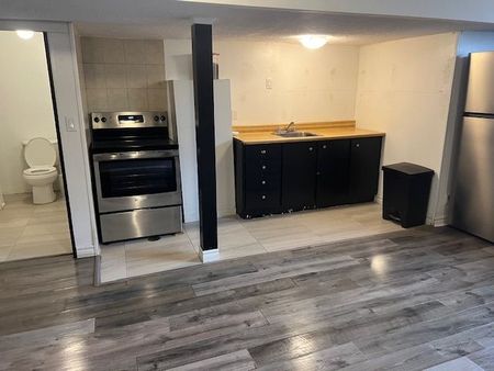 For Lease - 192 Silverbirch Drive Unit# Basement, Newmarket, Ontario - Photo 2