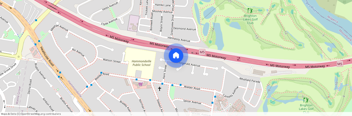 17 Fitzgerald Avenue, NSW 2170, Hammondville