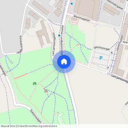 Börje Salmings gata, Kiruna