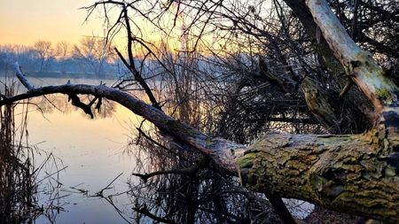 Warszawa, Ochota, Rakowiec, Siemieńskiego - Zdjęcie 5