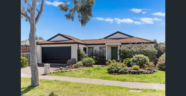 Warm, Spacious & Wonderfully Located Family Home! - Photo 1