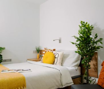 Extra Large Studio - Photo 2