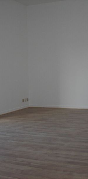 Appartement - 3 pièces - Orléans - Photo 1