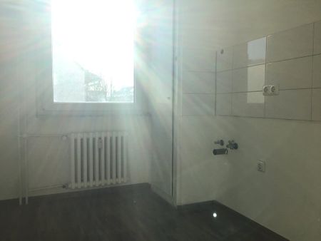 Pläßweidenweg 5, 45279 Essen OT Steele - Foto 4