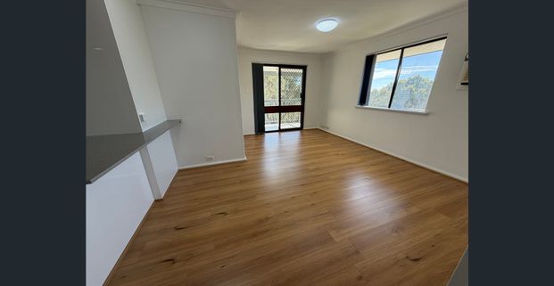 Freshly renovated 2 by 1 unit - Photo 1