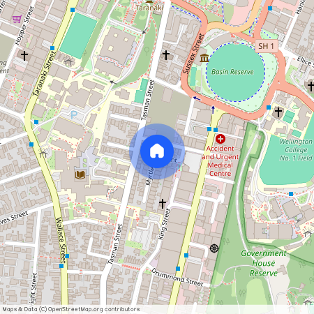 4 Myrtle Cres, Mount Cook, Wellington City