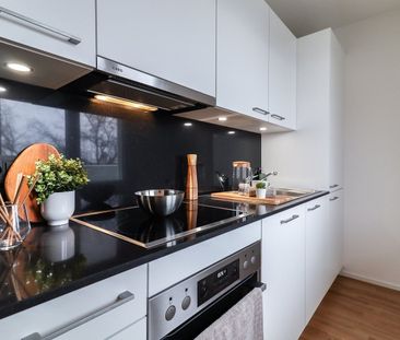 Above the rooftops of Basel at the Musical Theater - Photo 3