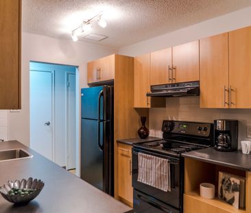 Owen Apartments - Photo 6