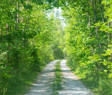 For Lease - 137 39th Side Road, Blue Mountains, Ontario - Photo 5