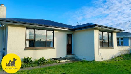 Three bedroom home in Waikiwi! - Photo 3