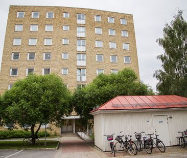 Lasarettsvägen 3, 94150, Piteå - Photo 2