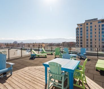 1 bed/1 bath at The Cannery Lofts - Photo 3