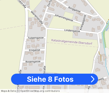 53,49qm 2Zi S-Gartenwohnung, Erstbezug, ökologische Bauweise - Foto 1