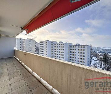 Appartement 2.5 pièces avec belle vue - Photo 4