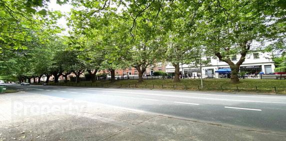 Lower Drumcondra Road - Photo 2