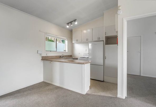 Bright one bedroom in Mt Eden - Photo 1