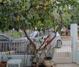 Μονοκατοικία για ενοικίαση - Νέα Ιωνία, - Photo 4