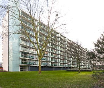 Appartement Helmersflat, Roosendaal - À Louer - Photo 2