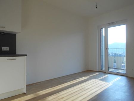 Q5 am PARK schöner Ausblick, sonnige 2ZI mit 9m² West/ Balkon - Photo 2