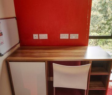 Studio to rent - Photo 6