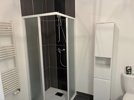 Appartement T2 Castelnau-le-Lez à louer - Photo 5