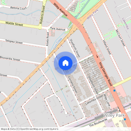 1/51 Cornelia Street, NSW 2195, Wiley Park