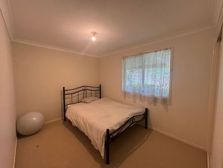 Elegant Eucalyptus - Photo 5