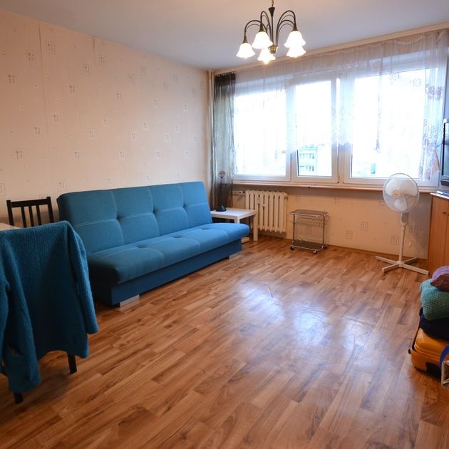 Mieszkanie na wynajem - Photo 1