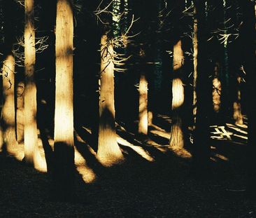 Rua das Flores - Photo 1