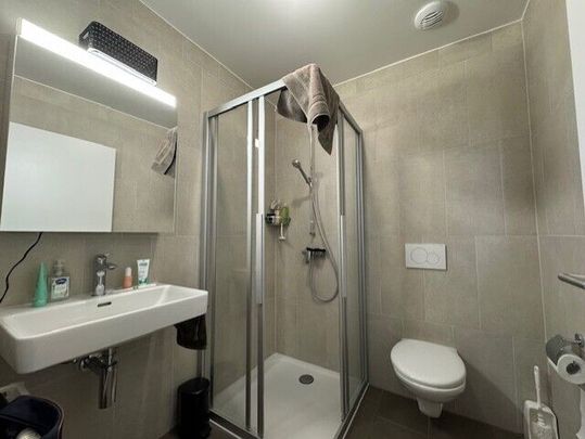 LE TICLE : Appartements neufs à louer - Photo 1