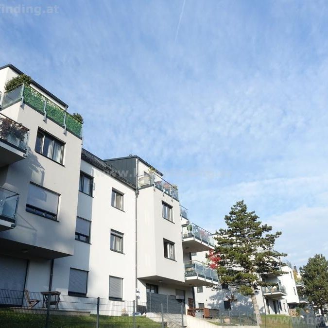 Terrassenwohnung beim Hörndlwaldes - 5 Jahre befristet - Foto 1