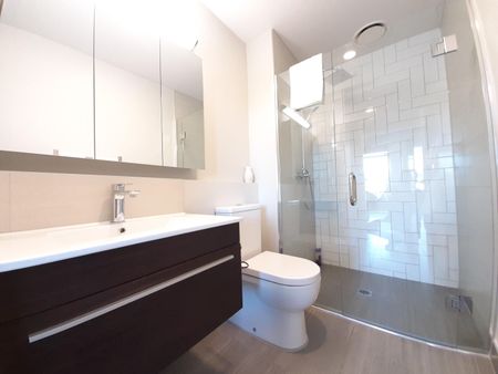 Library Lane Cutie - Photo 3