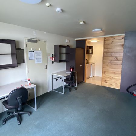 Studio Apartment in the Heart of Wellington! - Photo 3