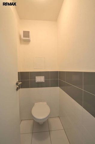 Pronájem bytu 1+kk v osobním vlastnictví 41 m², Holubice - Photo 3