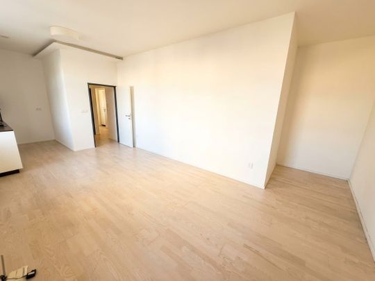 Pronájem bytu 1+kk • 35 m² bez realitkySkořepka, Brno - Trnitá, Jihomoravský kraj - Photo 1