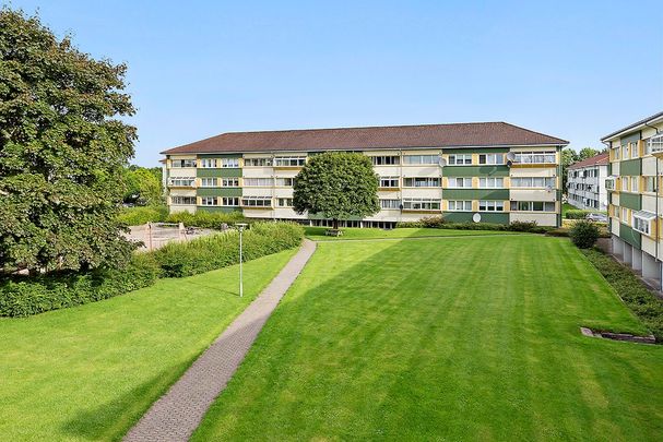 Afd. 28 Jennumparken 2 - Foto 1