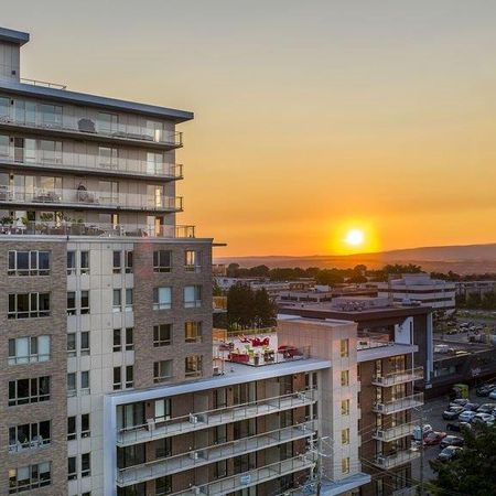 Penthouse À LOUER Spacieux 4 1/2 sur le Plateau de Ste-Foy - Photo 3