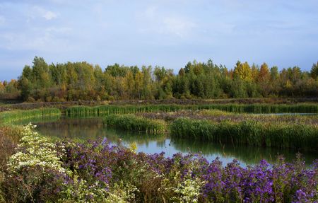 Lilythorne | Zen Urban Flats - Now Renting - Photo 3