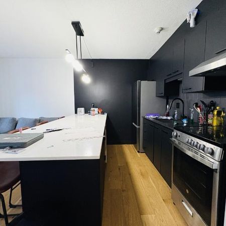 Loft entièrement meublé à louer Saint-Jean-Baptiste juillet 2025 - Photo 3