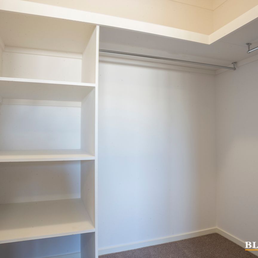 25/1 Pape Street, Franklin ACT 2913 - Terrace For Rent | Domain - Photo 1