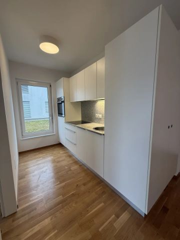 Sonnige Gartenwohnung mit 3 Zimmer ab sofort zu vermieten! - Foto 5