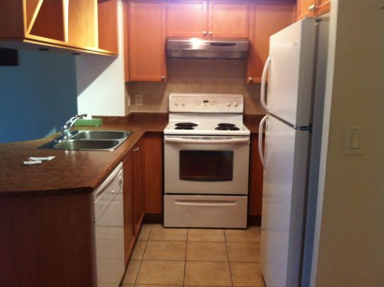 For Lease - 4090 Living Arts Drive Unit# 1901, Mississauga, Ontario - Photo 1