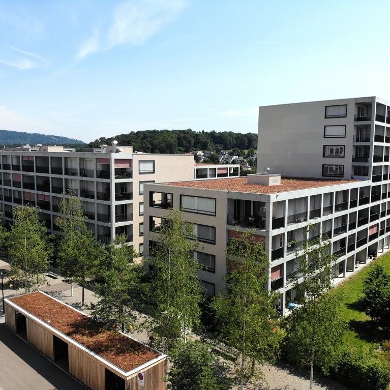 MIETEN OHNE KAUTION - 3.5 Zimmerwohnung mit Sicht auf das Schloss - Photo 1