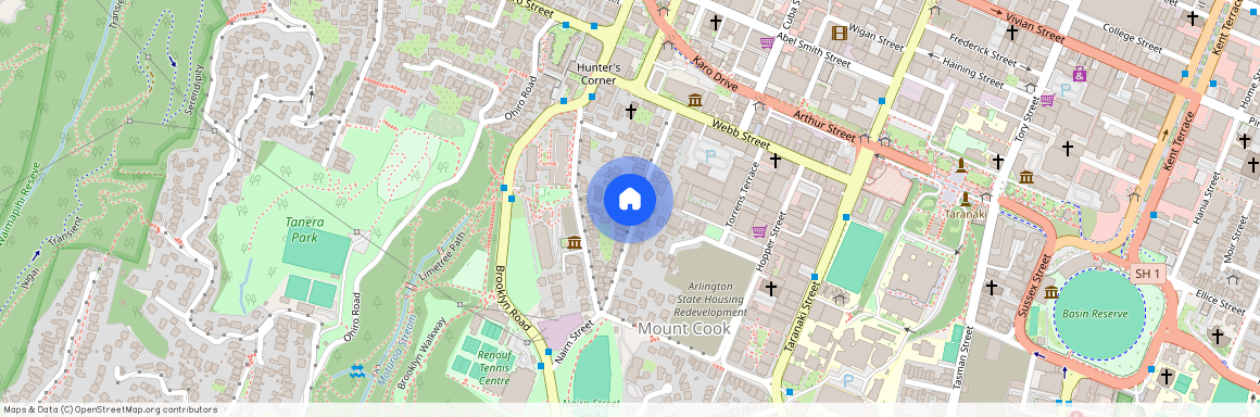 44 Thompson Street, Mount Cook, Wellington