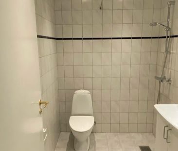 Lys og rummelig lejlighed i hjertet af Aalborg - Photo 6