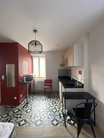 Location Appartement 1 pièce 17m² BRIGNAIS 69530 - Photo 3