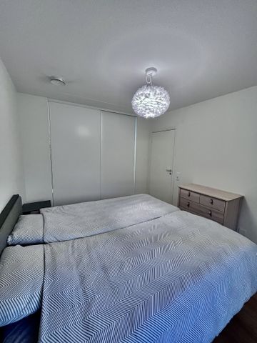 Gaffelseglet, Vega - Photo 4