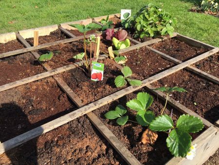 Met fietsenberging & giga tuin - Photo 4