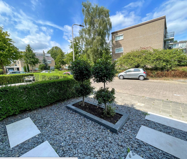 Mr. Van Houtenstraat - Foto 3
