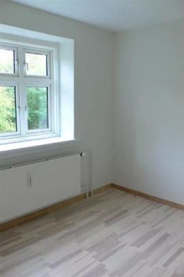 Oehlenschlægersgade 11B, 1. th. - Foto 1